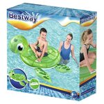 Beco Turtle water toy