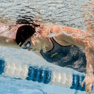 Finis Bolt peililasit