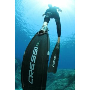 Equipment for freediving and spearfishing from foot pockets to neoprene suits.