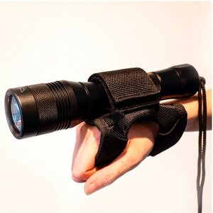 Shark Pollux led backup light
