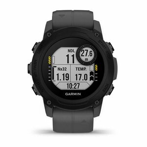 Garmin Descent G1