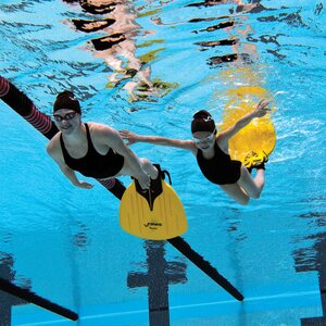 Finis Mono fin