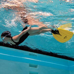 Finis Mono fin
