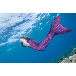 Finfun Basic Mermaid Tail