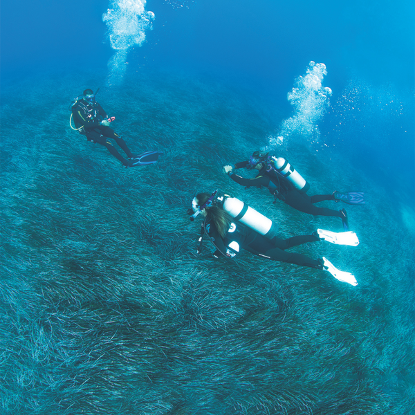 Padi Divemaster Course